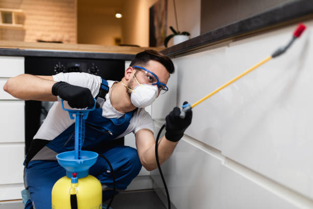 Best Best Pest Control Companies  in Oakdale, MN