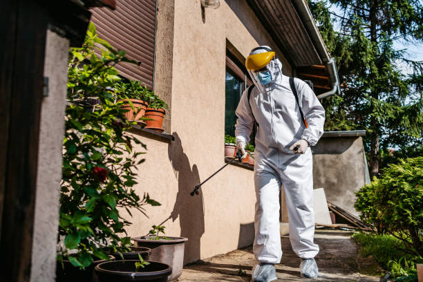Best Best Pest Control Companies  in Oakdale, MN