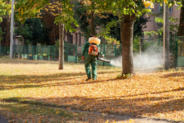 Best Residential Pest Control  in Oakdale, MN